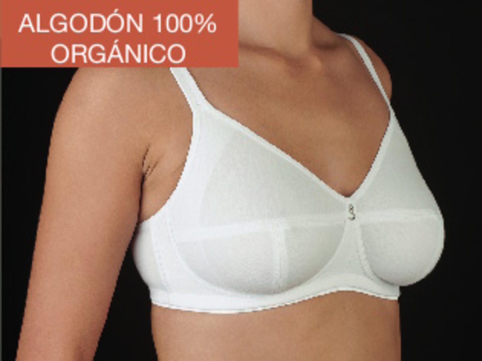 REGGISENO DONNA NAOMI Tellini S.r.l. Ingrosso Abbigliamento