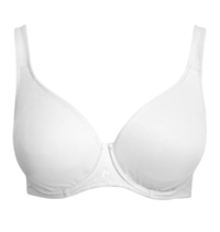 REGGISENO DONNA 1822 Tellini S.r.l. Ingrosso Abbigliamento