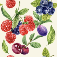 TOVAGLIA ANTIMACCHIA 6P HYDRO FRUTTA 140X180 Tellini S.r.l. Ingrosso Abbigliamento