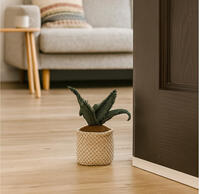 Kaktus-Türstopper Tellini S.R.L. Großhandelskleidung