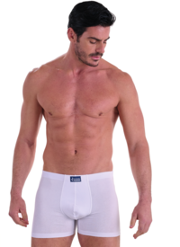 BOXER UOMO 573 Tellini S.r.l. Ingrosso Abbigliamento