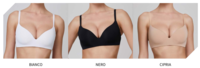 REGGISENO DONNA ABBRACCIO SENZA FERRETTO Tellini S.R.L. Großhandelskleidung