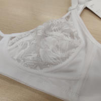 REGGISENO DONNA ALIDA Tellini S.r.l. Ingrosso Abbigliamento