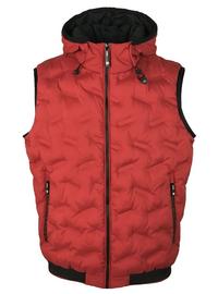 GILET UOMO COINTREAU Tellini S.r.l. Ingrosso Abbigliamento