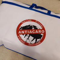 GUANCIALE SOFTBALLS 50X80 ANALLERGICO Tellini S.r.l. Ingrosso Abbigliamento
