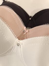 REGGISENO DONNA 1876 Tellini S.r.l. Ingrosso Abbigliamento