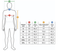 CAMICIA UOMO M/L NEW RETTORE Tellini S.r.l. Ingrosso Abbigliamento