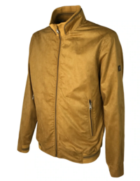 GIUBBINO UOMO ALADDIN Tellini S.r.l. Ingrosso Abbigliamento