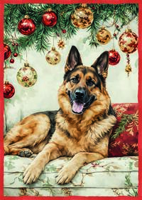 Weihnachts-Niko-Süßigkeiten-Geschirrtuch 50x70 Tellini S.R.L. Großhandelskleidung