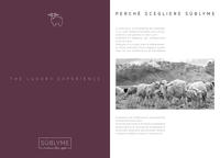 CAMICIOLA DONNA M/L 1416 Tellini S.R.L. Χονδρική ενδυμασία