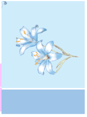 CAMICIA NOTTE DONNA M/M KE0009 Tellini S.r.l. Ingrosso Abbigliamento