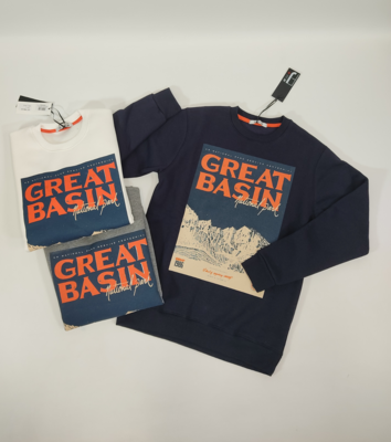 FELPA UOMO ROMA1070 Ingrosso Abbigliamento Uomo Tellini S.r.l.