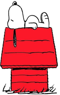 FELPA DONNA HW3544 Ingrosso CARTOONS Tellini S.r.l.