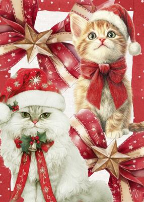 SET STROFINACCIO 2PZ PRISCILLA 50X70 Ingrosso Tessile Casa Tellini S.r.l.